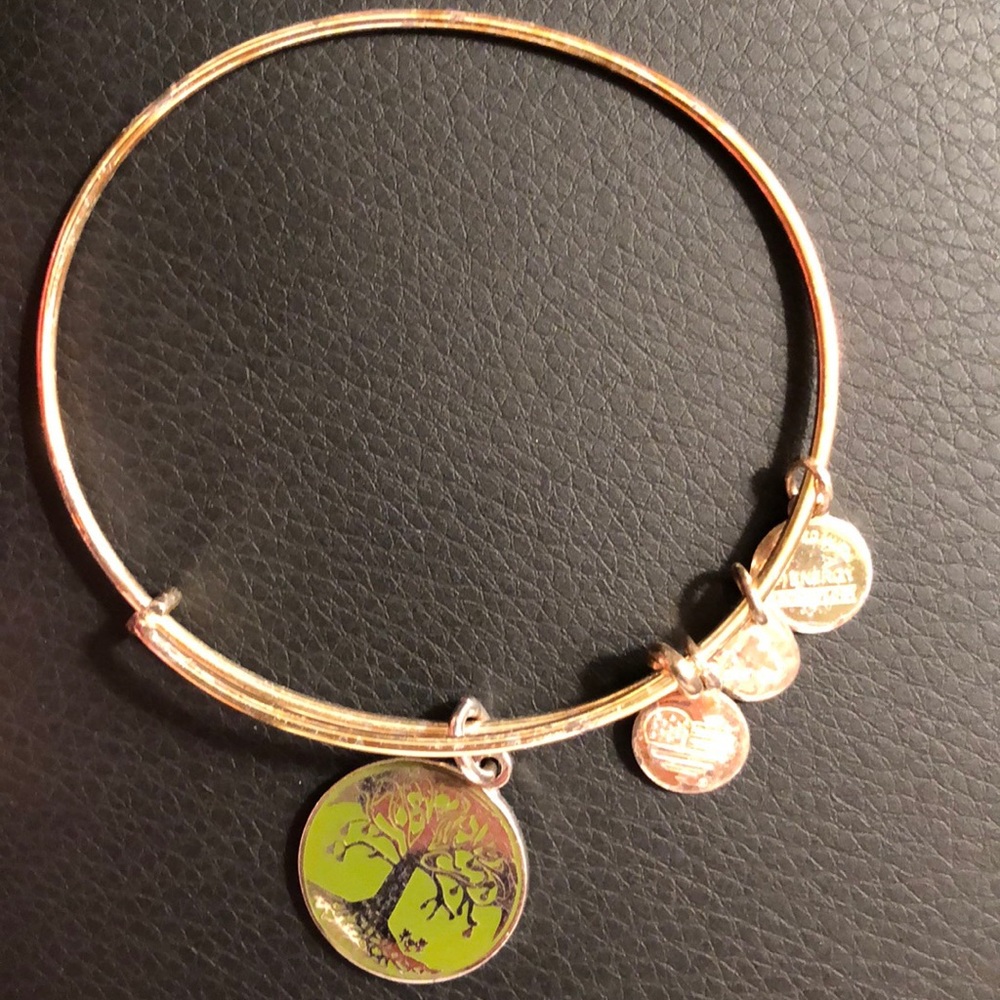 Alex and Ani Tree of Life Bracelet